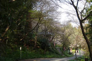 IMGP7340_xga.jpg
