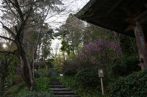 IMGP7355_xga.jpg