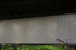 IMGP7360_xga.jpg