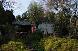 IMGP7370_xga.jpg