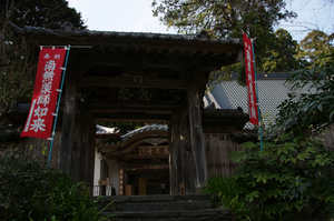 IMGP7378_xga.jpg