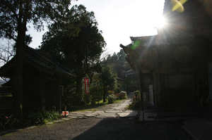 IMGP7391_xga.jpg