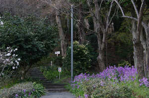 IMGP7394_xga.jpg