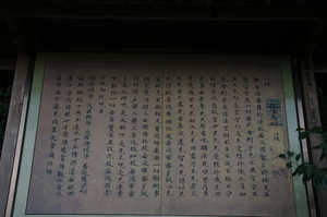 IMGP7396_xga.jpg