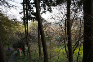 IMGP7400_xga.jpg