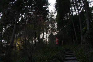 IMGP7403_xga.jpg