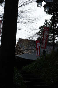 IMGP7406_xga.jpg