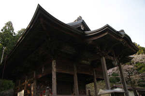 IMGP7409_xga.jpg