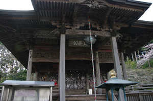 IMGP7415_xga.jpg