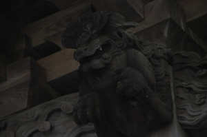 IMGP7418_xga.jpg