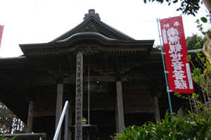 IMGP7433_xga.jpg