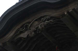 IMGP7436_xga.jpg