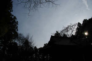 IMGP7442_xga.jpg