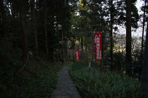 IMGP7456_xga.jpg