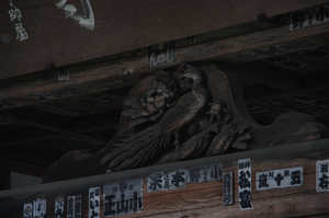 IMGP7479_xga.jpg