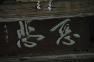 IMGP7487_xga.jpg