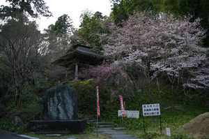 IMGP7519_xga.jpg