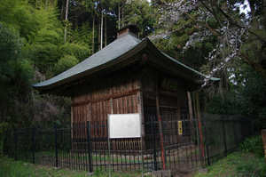 IMGP7522_xga.jpg