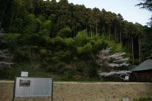 IMGP7552_xga.jpg
