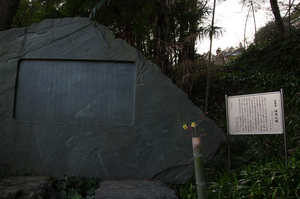 IMGP7566_xga.jpg