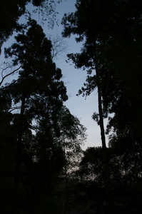 IMGP7571_xga.jpg