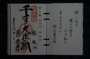 IMGP7928_xga.jpg